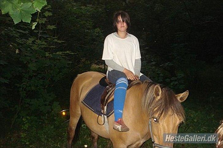 Anden særlig race  Kandis  billede 14