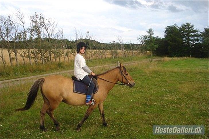 Anden særlig race  Kandis  - Min storesøster som Rider kandis  billede 15