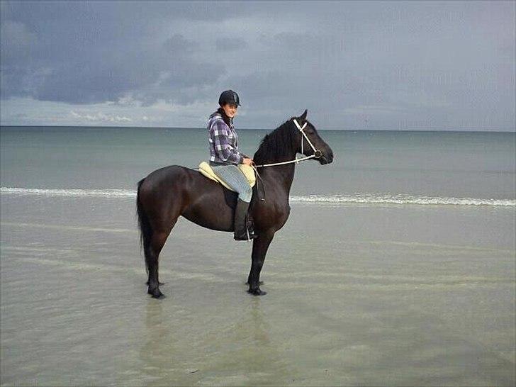 Frieser Jylke Van Den Dellen - Mig og jylke på Balka strand  billede 11