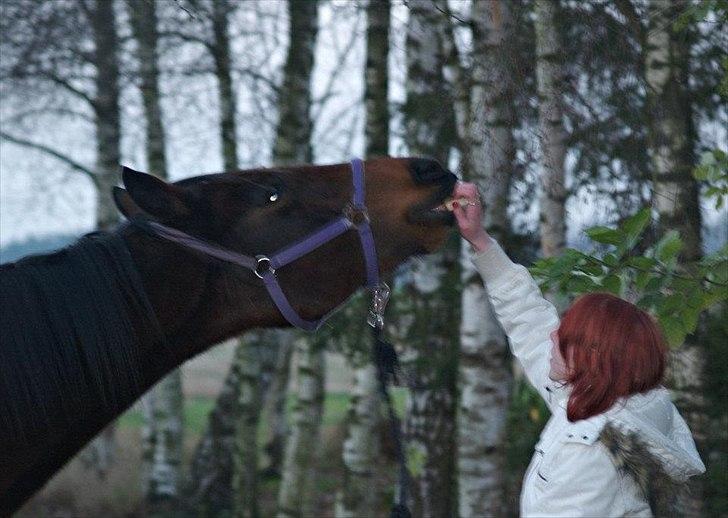 Traver Kitta Bama - hjemme igen - ur not just a horse. ur my everything, my partner, and my best friend.
-Taget af Camilla billede 5