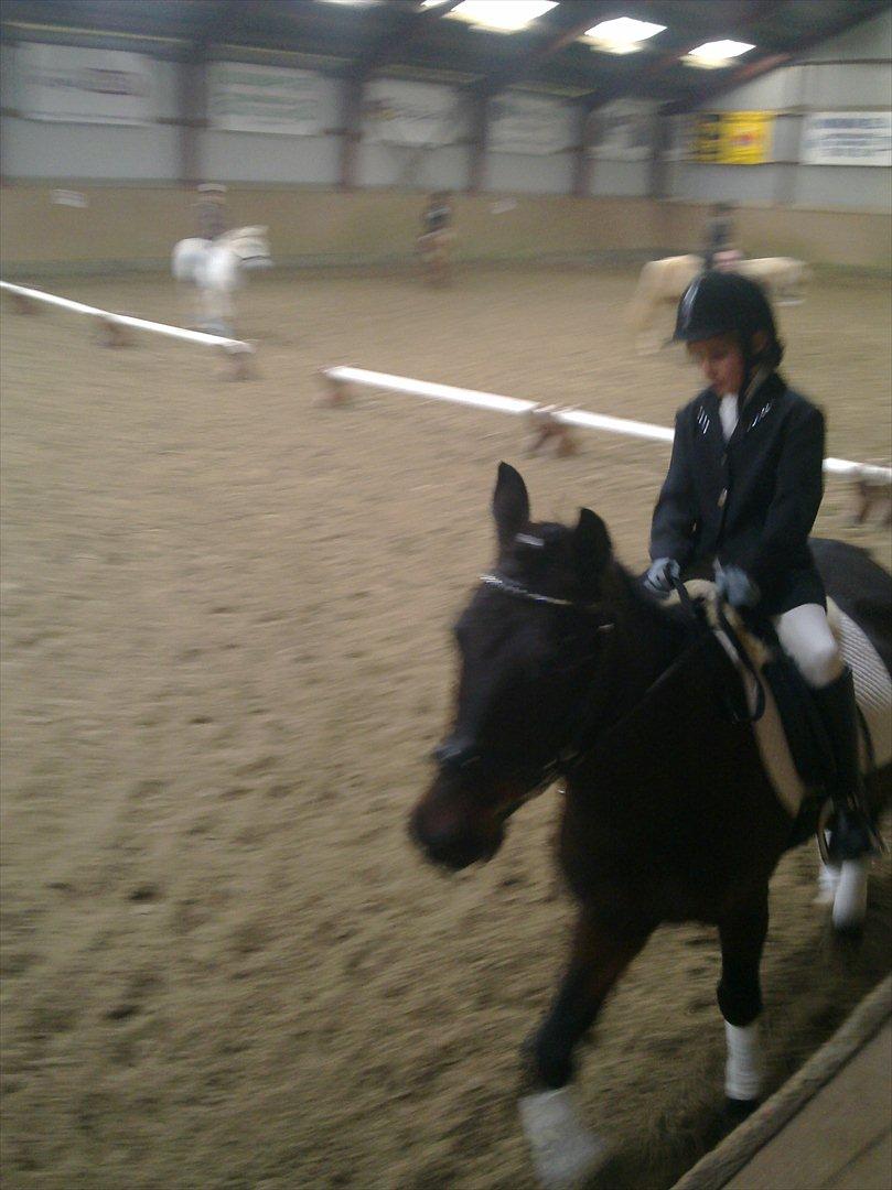 Anden særlig race Kompis Min Ven  ( Solgt ) - Vores første stævne på turk d. 11.marts billede 14