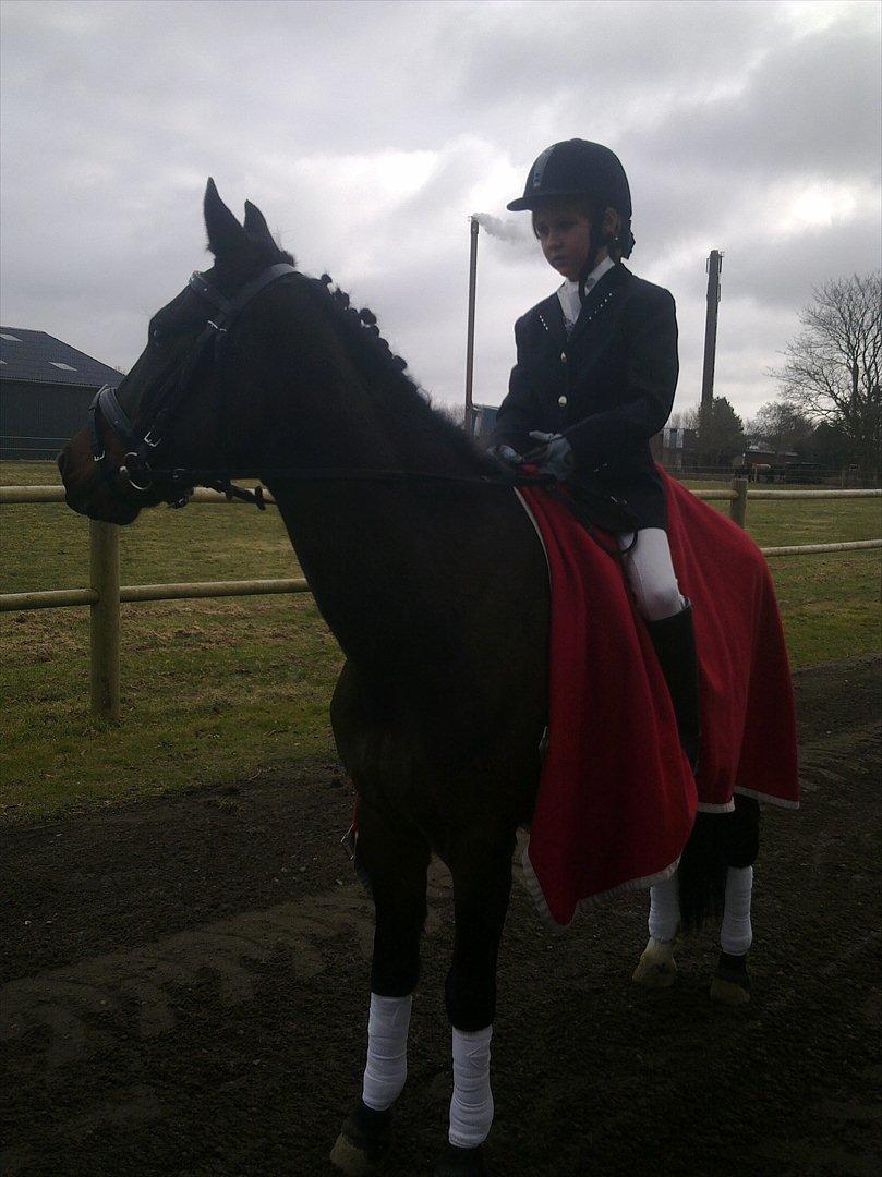 Anden særlig race Kompis Min Ven  ( Solgt ) billede 15