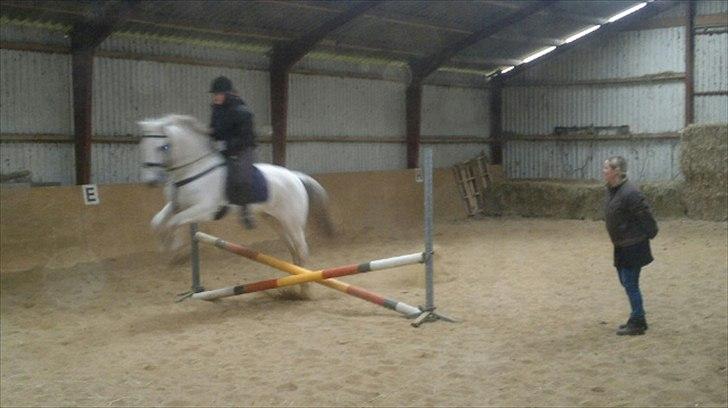 Anden særlig race Mille <3. (Ard Chuan Millenium) - Mig Og Mille springer for første gang.<3 i: billede 13