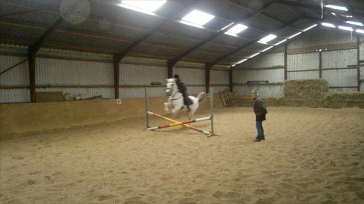 Anden særlig race Mille <3. (Ard Chuan Millenium) billede 14