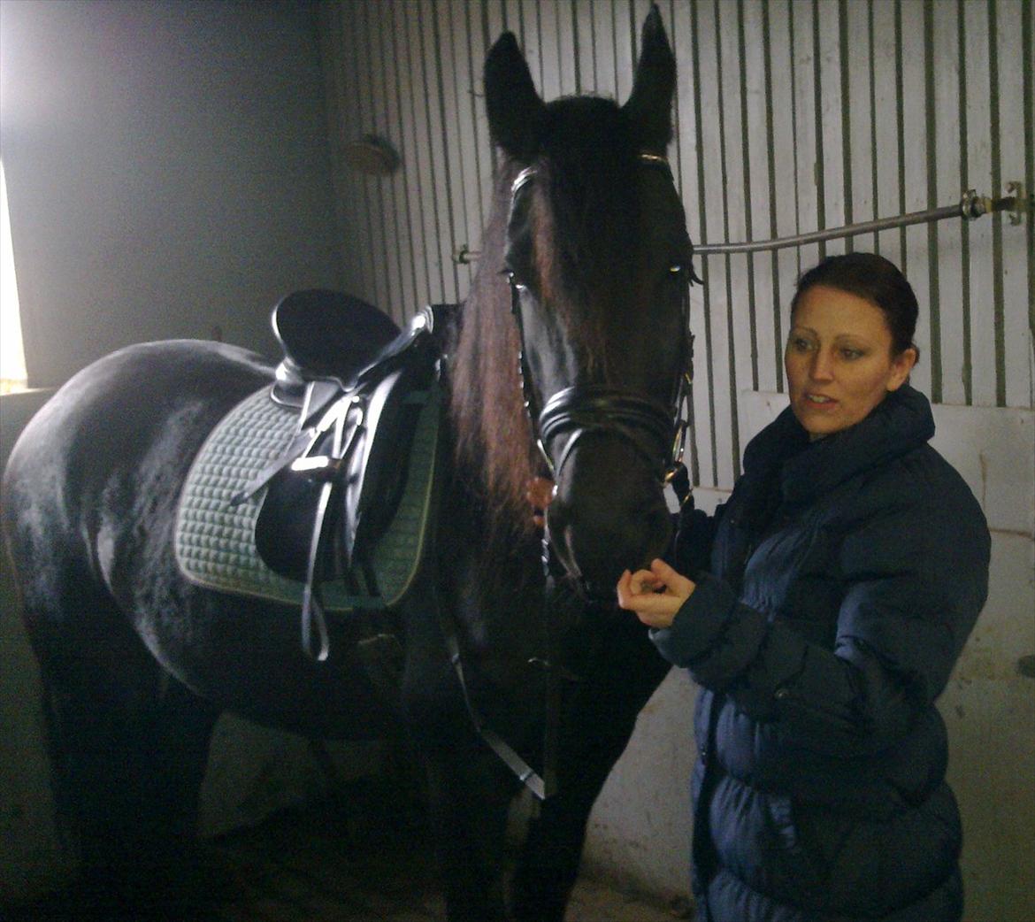 Frieser Enja - klar til at blive vist frem:-) billede 2