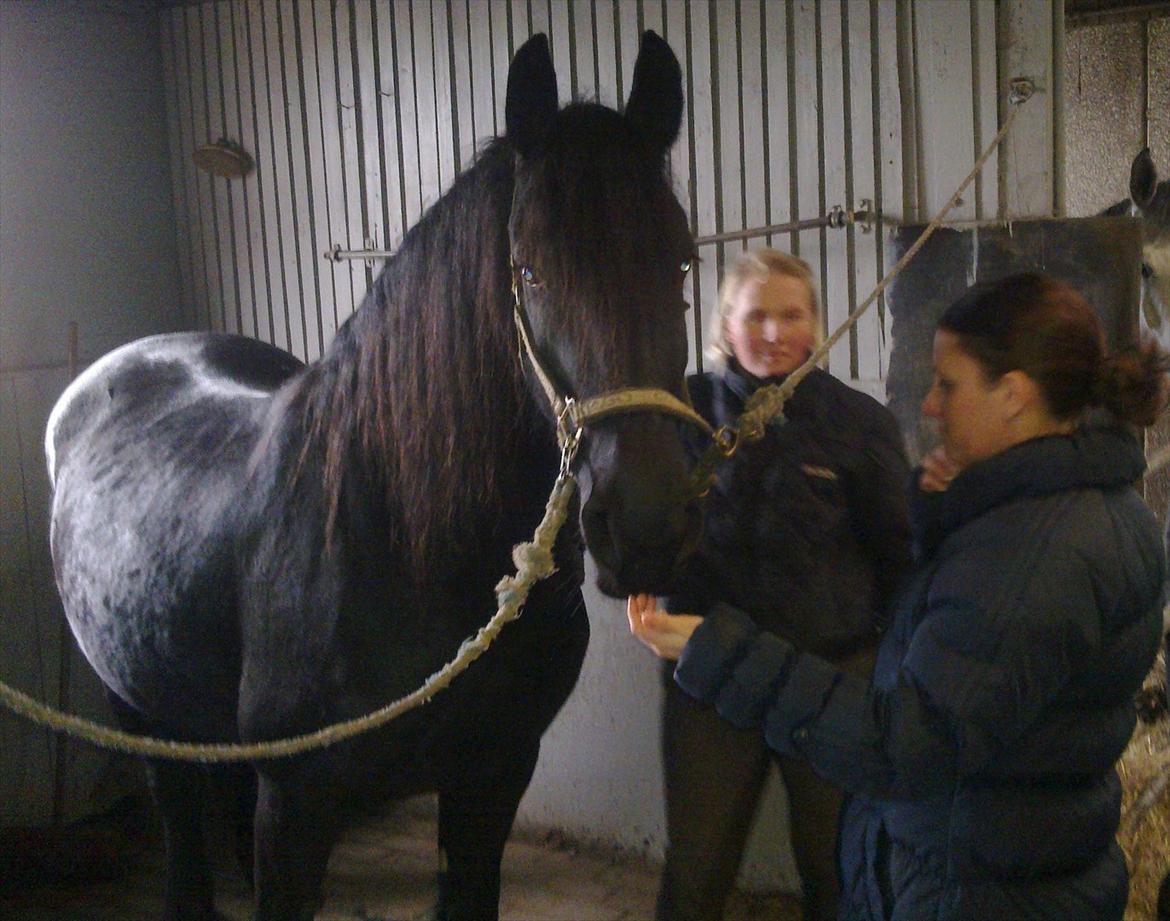 Frieser Enja - og så nusse-nusse-nusse billede 4