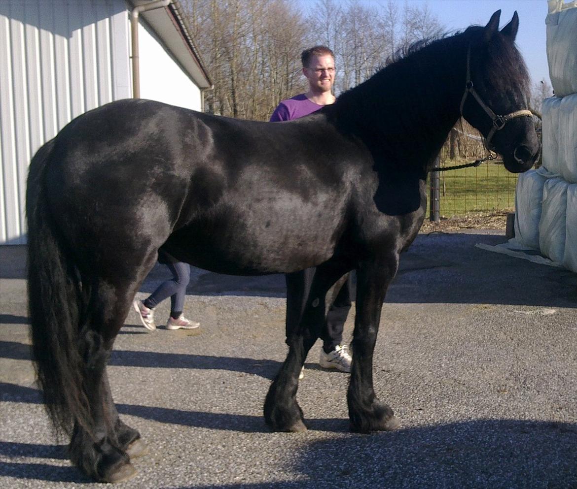 Frieser Enja - Gude smuk billede 6