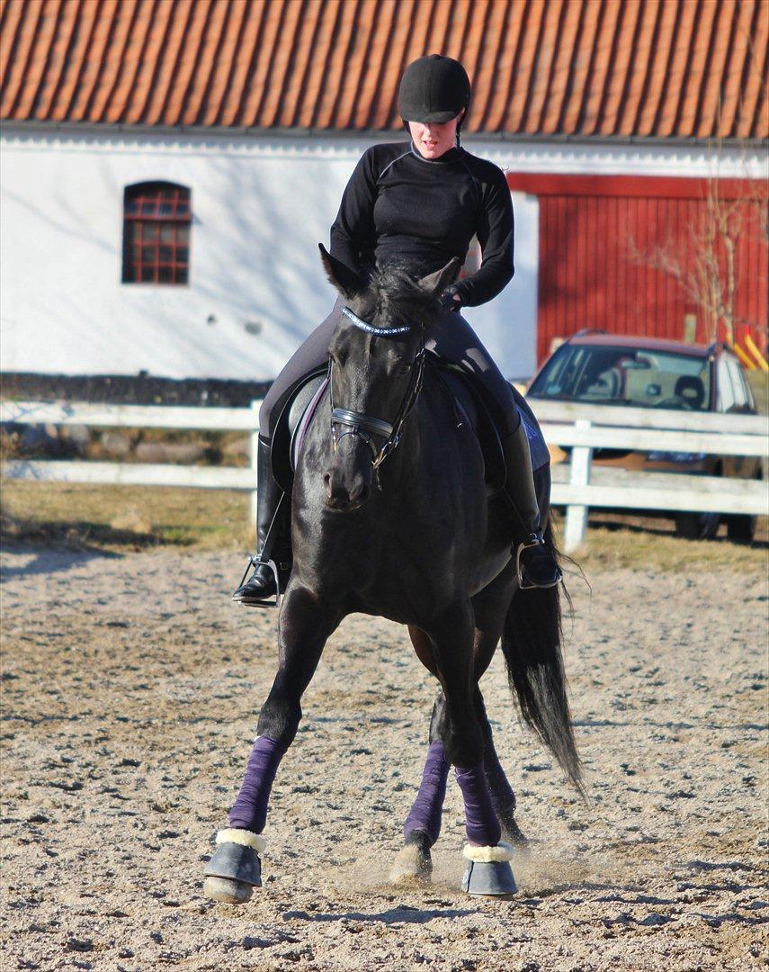 Oldenborg Atlas - Schenkelvigening i trav :) 
Fotograf. Sara Justenborg billede 11