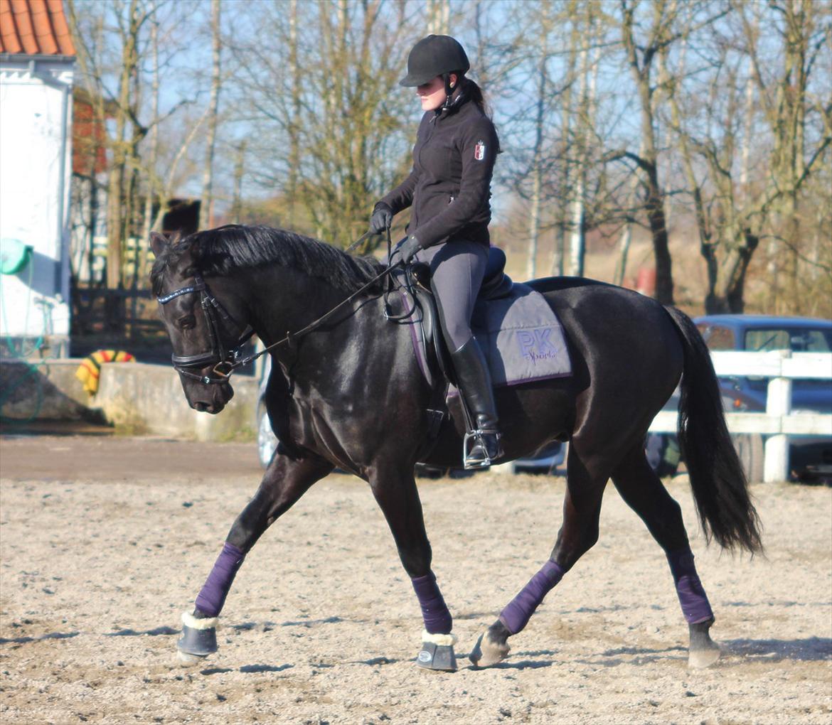 Oldenborg Atlas - Arbejdstrav :) 
Fotograf. Sara Justenborg billede 14