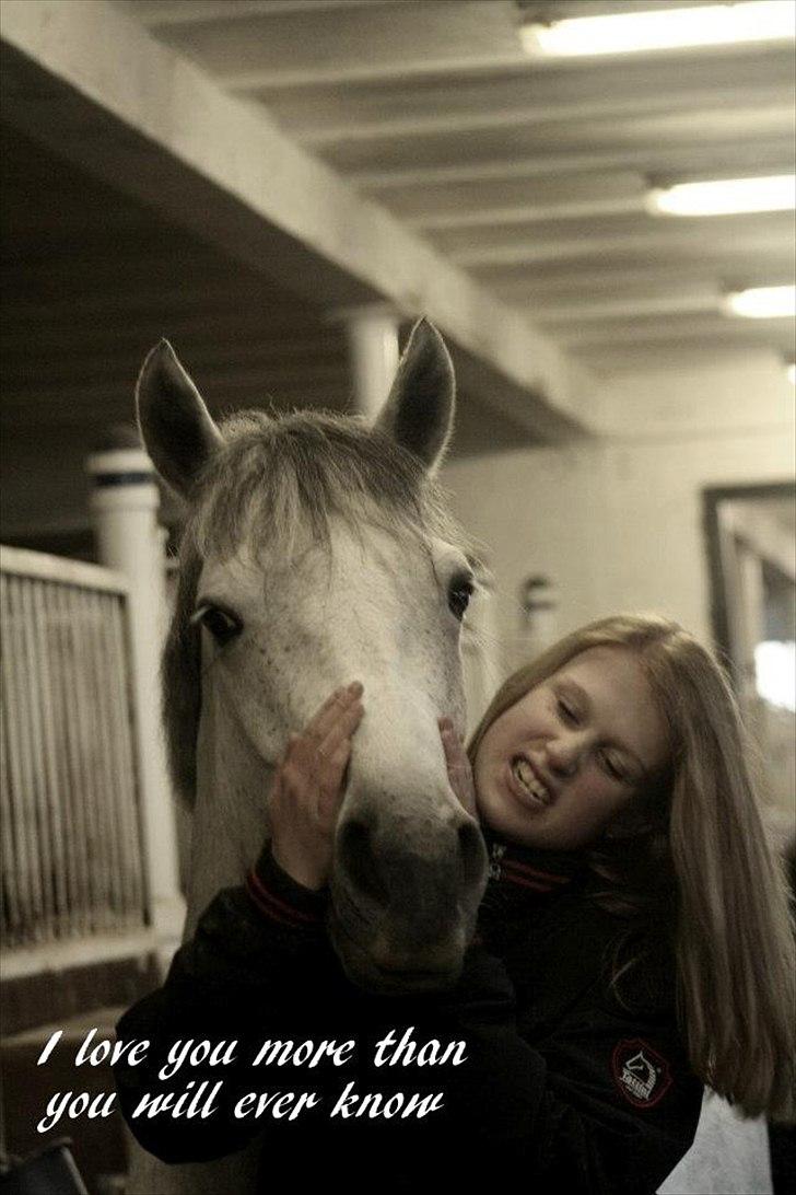 Connemara | Nørlunds Irish Rose | Made in heaven - Vi fjollerrr billede 3