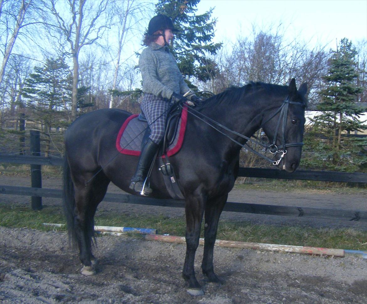 Oldenborg Corporal Alstrup - Min dejlige mor og den dejlige hyp.
Føj mor! for lange tøjler ;) billede 1