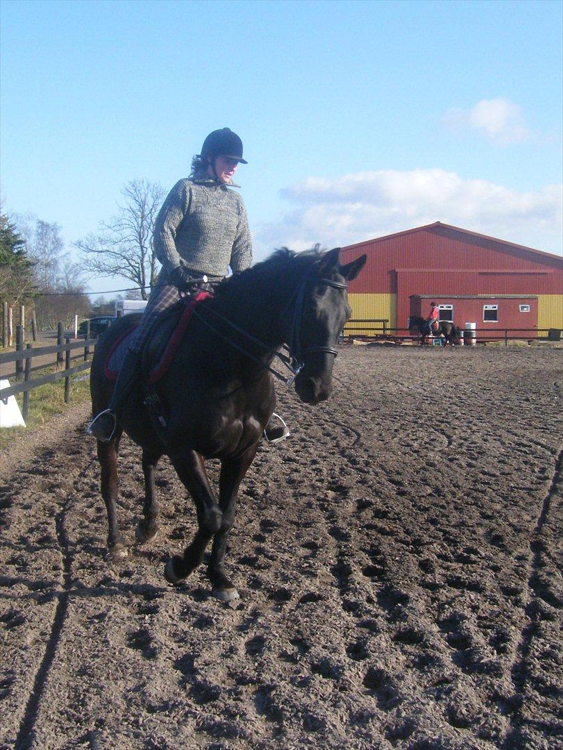 Oldenborg Corporal Alstrup - 2012 billede 4