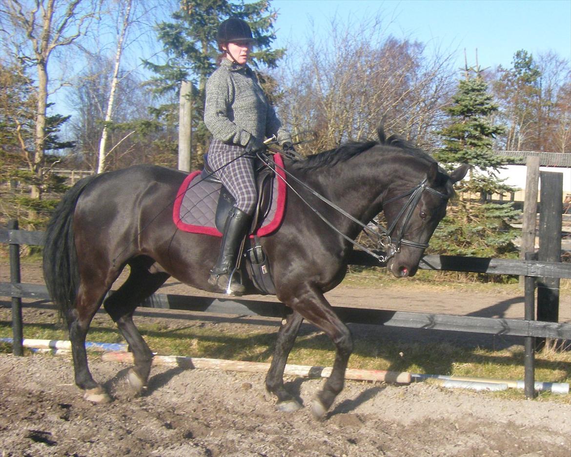 Oldenborg Corporal Alstrup - 2012 billede 5