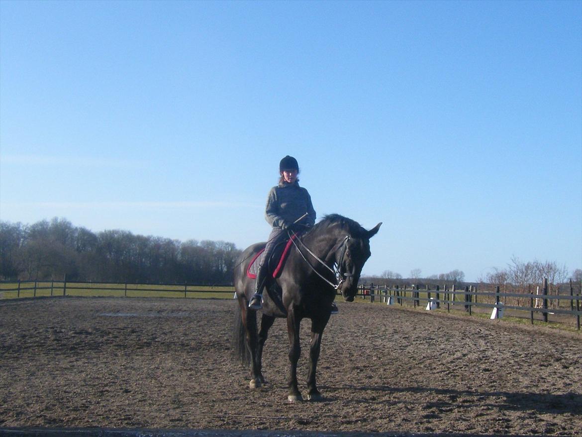 Oldenborg Corporal Alstrup - 2012 billede 6