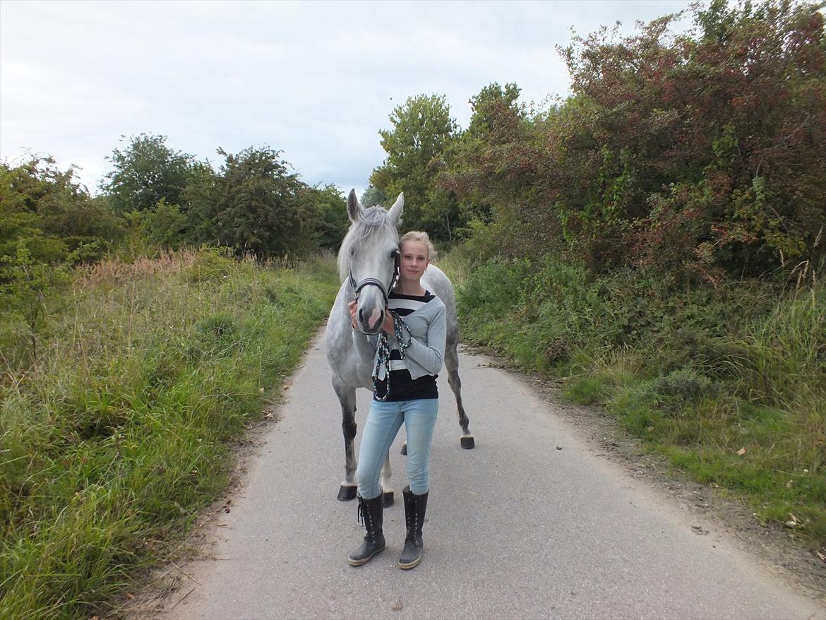 Anden særlig race Miss Perfect *solgt* - Sommerfoto af mig og ponyen
 billede 6