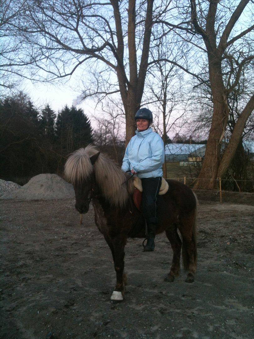 Islænder Elva fra Torupgård - Elva og jeg på aftentur d.14-3-2012 billede 15