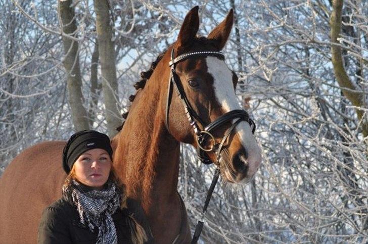 Anden særlig race Smukke Sally billede 1