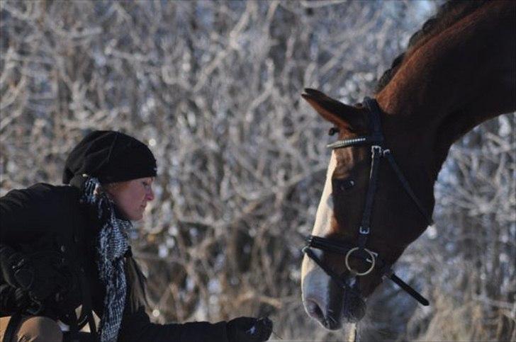Anden særlig race Smukke Sally billede 17