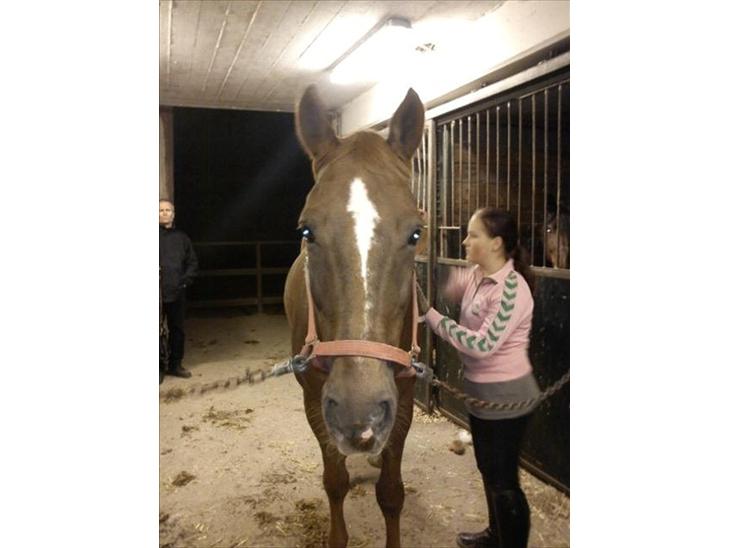 {{currentPhoto.altText}} billede {{currentPhoto.number}}