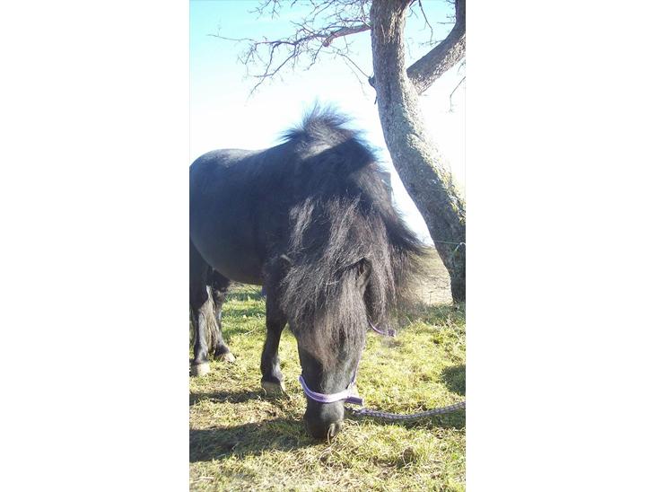 {{currentPhoto.altText}} billede {{currentPhoto.number}}