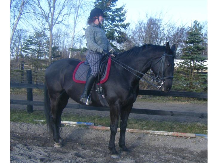 {{currentPhoto.altText}} billede {{currentPhoto.number}}