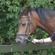 Anden særlig race Georg | Geo | Min bedst ven<3