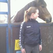 Anden særlig race Chivas (Min part)