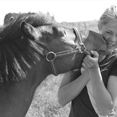 Anden særlig race Sir Arthur