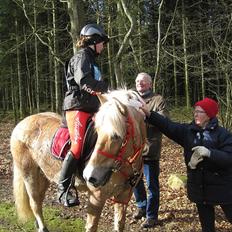 Anden særlig race Safran