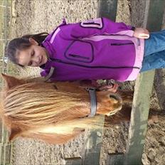 Islænder helsehjemmet´s kvikka