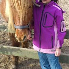 Islænder helsehjemmet´s kvikka