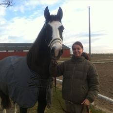 Anden særlig race Leal