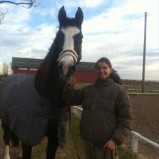 Anden særlig race Leal