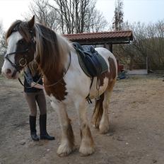 Tinker Lukas *Den Bedste*<3 (Gamle part)