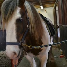 Tinker Lukas *Den Bedste*<3 (Gamle part)