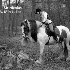 Tinker Lukas *Den Bedste*<3 (Gamle part)