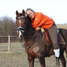 Anden særlig race Carisma