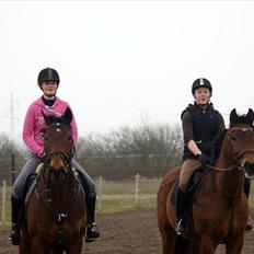 Fuldblod (XX) Colour Blind (Ire)