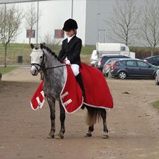 Anden særlig race Søgårdens mr. kebab mix