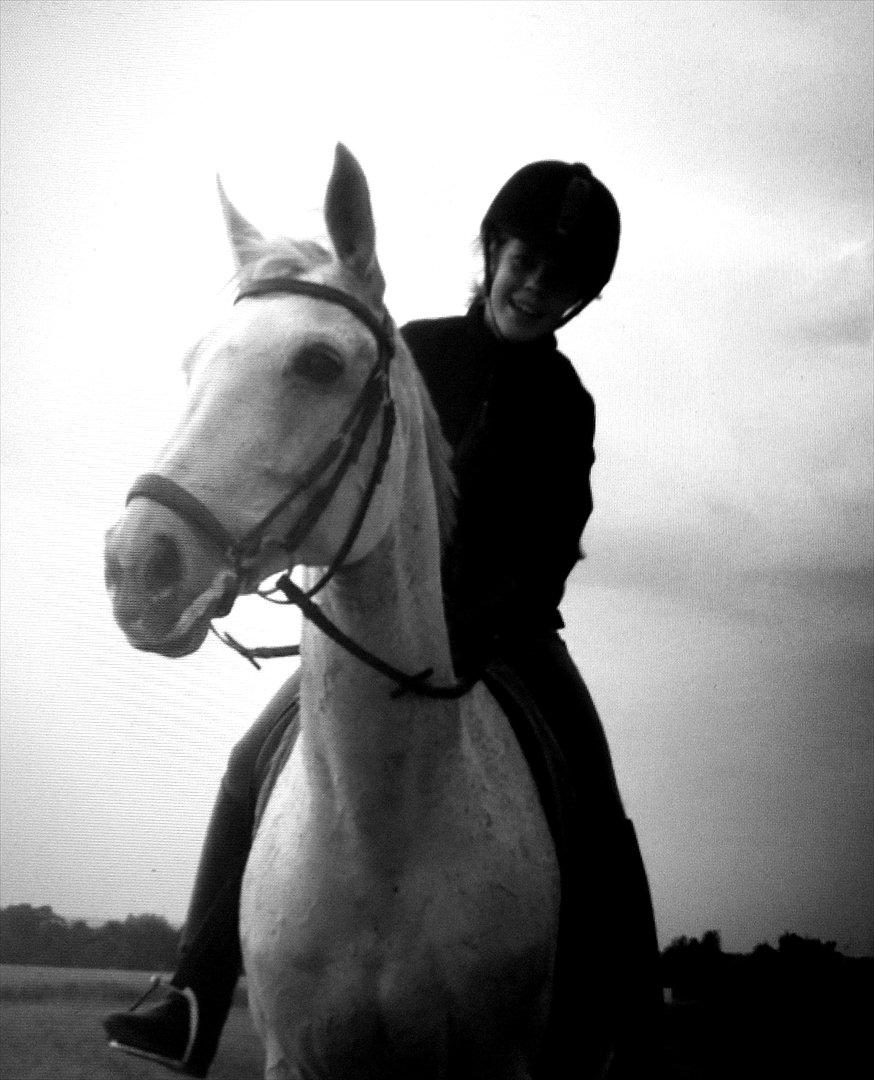 Hannoveraner Ferrari - Sommer-efterår 2011 - efter en super fed galoptur på marken :-) billede 14