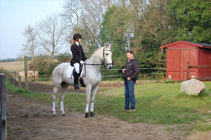 Hannoveraner Ferrari - FRK-S 25.september. 2011 billede 15