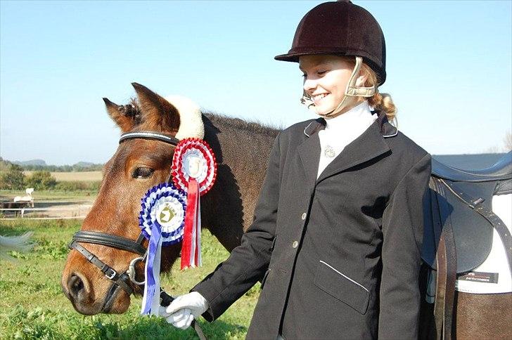 Anden særlig race Sir Arthur - LD2 - FRK-S 1.plads 
LC1 - FRK-S delt 2.plads billede 17