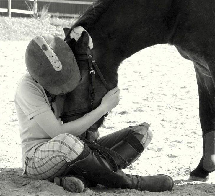 Anden særlig race Sir Arthur - Et af de billeder som betyder allermest for mig. billede 20