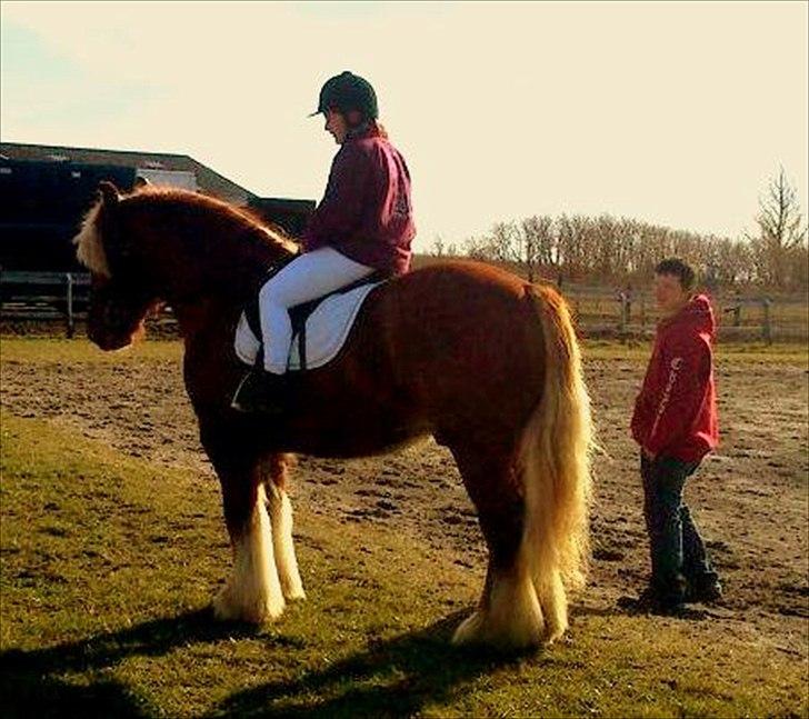 Jyde Lucas - en lille pustepause i opvarmningen billede 5