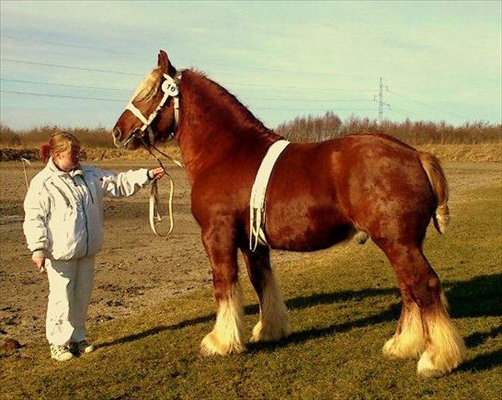 Jyde Lucas billede 1