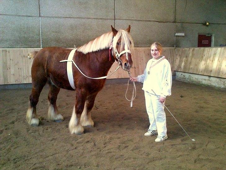 Jyde Lucas - lucas og mig efter vi har vundet mønstrings konkurancen til hingstekåringen 2012 billede 8