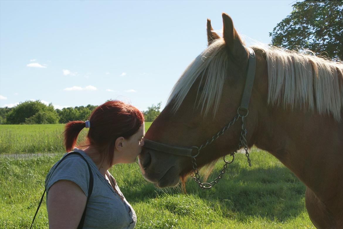 Jyde Lucas - nogen snyder med godbidder når de kysser med hesten andre har bare et godt bånd til deres heste så det bare er naturligt  billede 9
