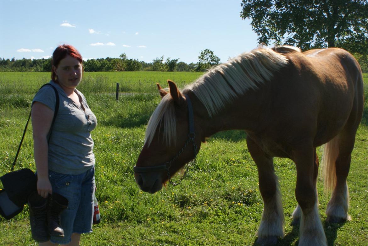 Jyde Lucas billede 16