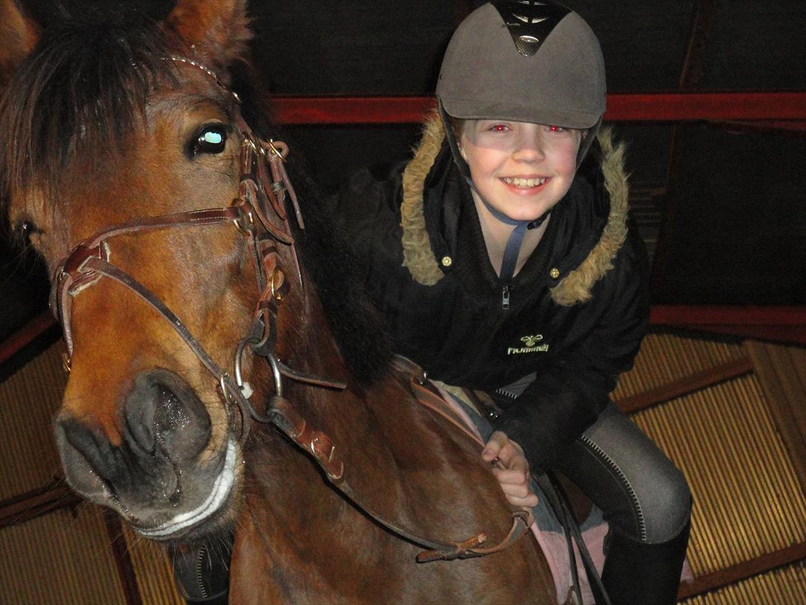 Anden særlig race Quick Brown Lady Z billede 7