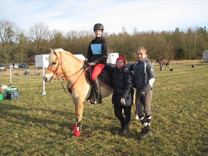 Anden særlig race Safran - Velkommen til Safrans profil, her ses jeg sammen med mit hjælper team ;D billede 1